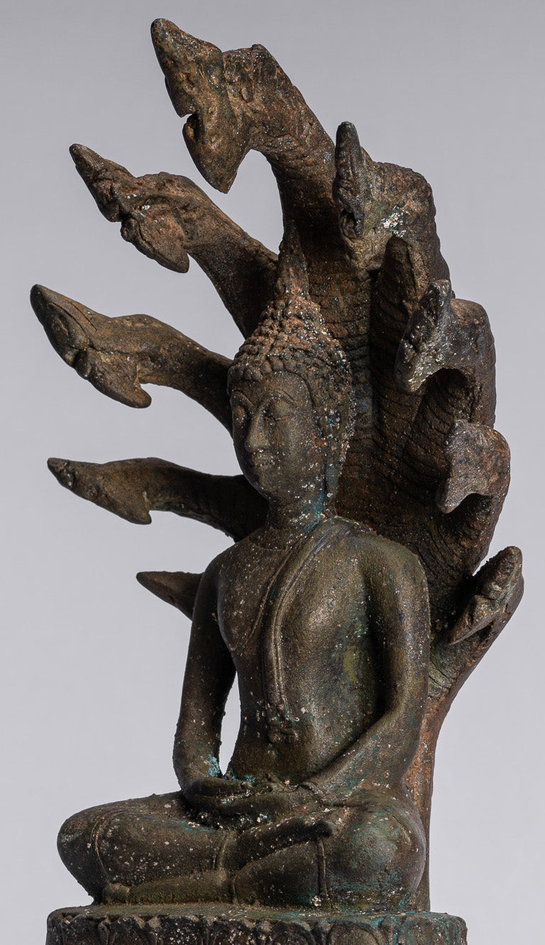 Statue Buddha - Bronzo antico sukhothai Bronzo meditante Naga Buddha Statua - 32 cm/13 "