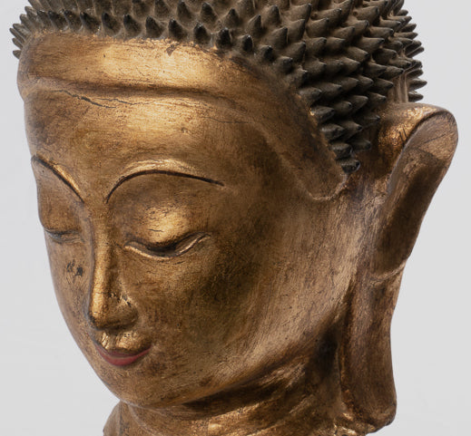 Antiker Buddha-Kopf im burmesischen Stil mit Shan-Goldlack - 35 cm/14 Zoll