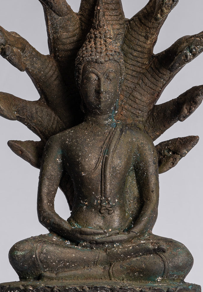 Statue Buddha - Bronzo antico sukhothai Bronzo meditante Naga Buddha Statua - 32 cm/13 "