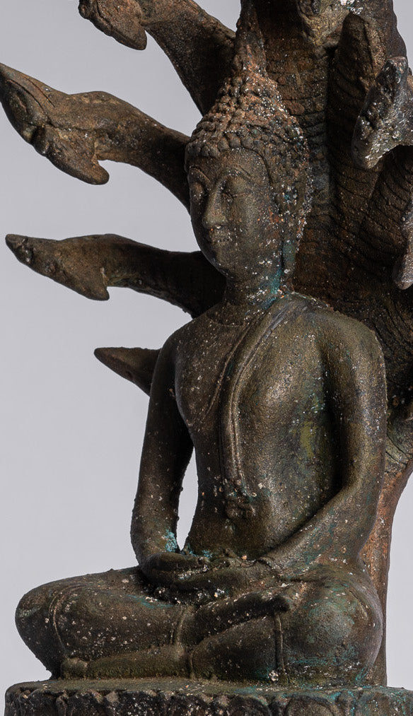 Statue Buddha - Bronzo antico sukhothai Bronzo meditante Naga Buddha Statua - 32 cm/13 "