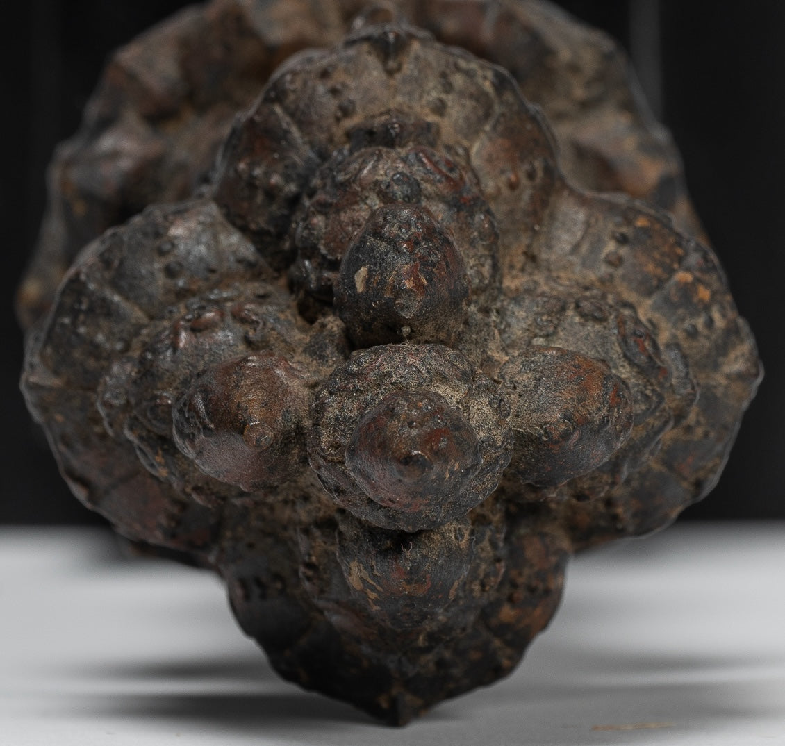 Vajrapāṇi Statue - Antique Khmer Style Vajra or Thunderbolt Vajrapāṇi Statue - 28cm/11"